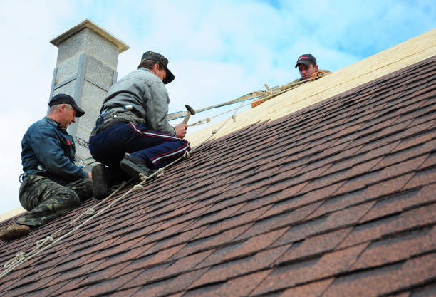 Best Sealant for Roof  in La Conner, WA