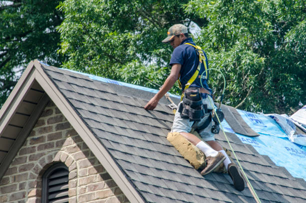 Best Roof Leak Repair  in La Conner, WA